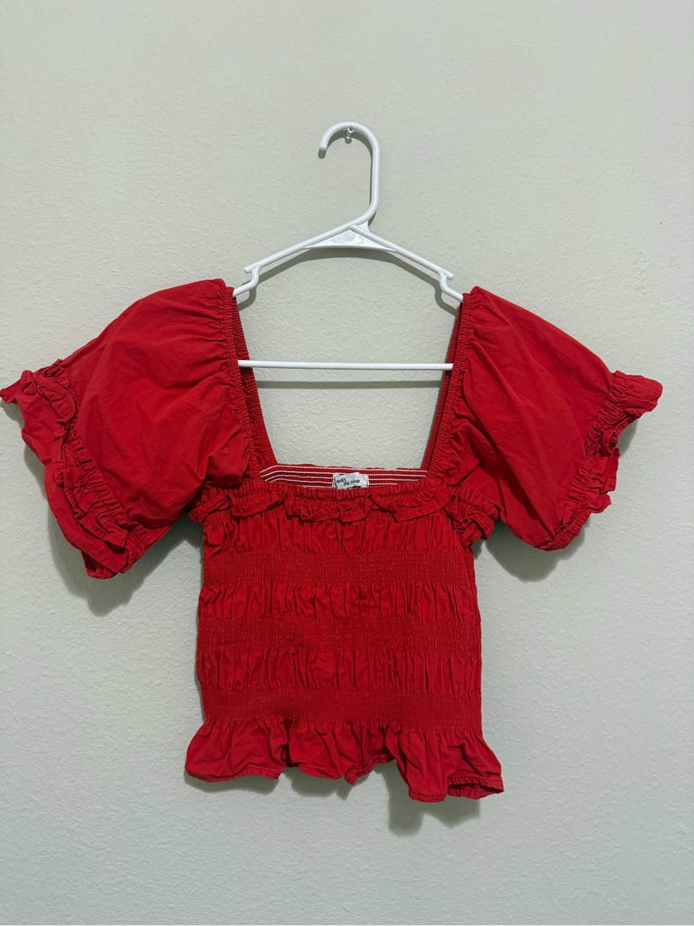 Smocked Puff Sleeve Crop Top in Red